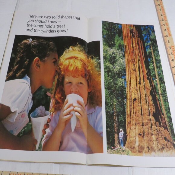 Solid Shapes BIG BOOK (almost 2 feet tall) with teacher pages CLASSROOM SIZE - Picture 6 of 16